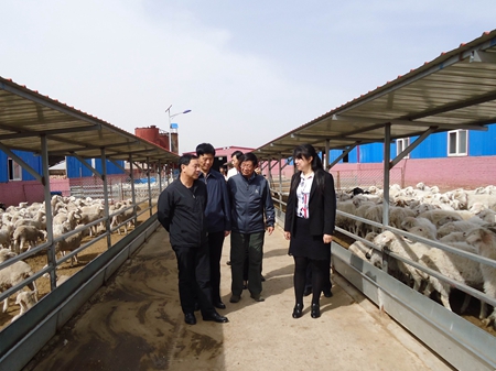 2016041409241719821 2016041409241719821