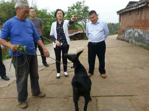 2016041409241866472 2016041409241866472