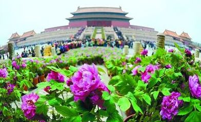 17-14-30-93-286 17-14-30-93-286