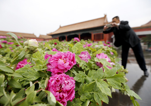 20160412114955567 20160412114955567