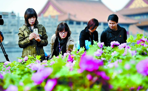 20160413091725417 20160413091725417