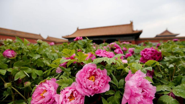 QQ图片20160414175931 QQ图片20160414175931