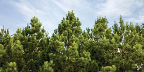 2016041501273866b1d_550 2016041501273866b1d_550