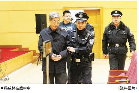 内蒙古银行原董事长杨成林