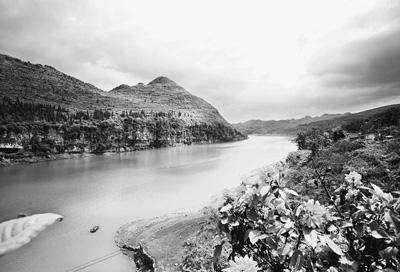 3321325145 3321325145