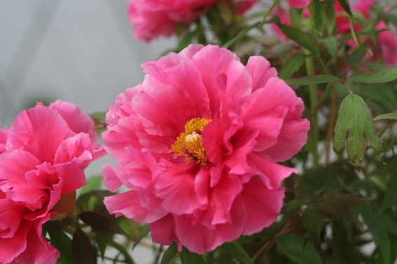 90fba61c6f421457372619 90fba61c6f421457372619