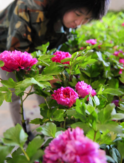 QQ图片20160418175910 QQ图片20160418175910