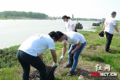 1005184786 1005184786