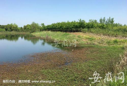 男子杀妻后自缢身亡 行凶后通知妻子娘家人收尸