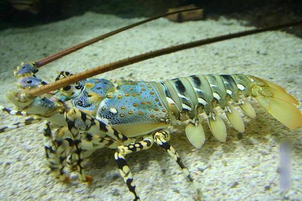 t01de827dd494a9f169 t01de827dd494a9f169