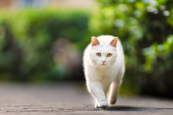 20130917213426_xvM5e 20130917213426_xvM5e