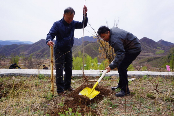 O1460948378780_3 O1460948378780_3