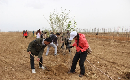 2016041909021432867 2016041909021432867