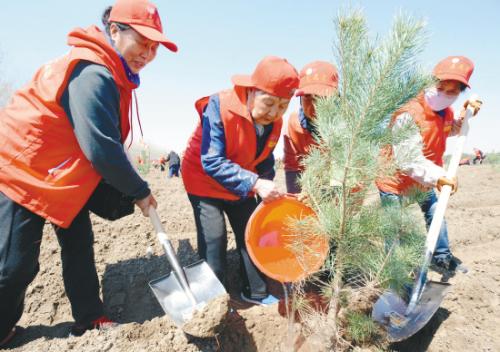 16113394_339253 16113394_339253