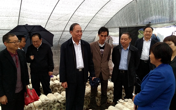 64006a5c941918811dc120 64006a5c941918811dc120