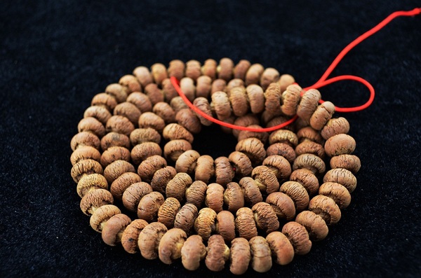 ecedc288-1d24-4cf9-a49c-227d25bf4457 ecedc288-1d24-4cf9-a49c-227d25bf4457