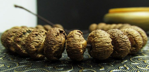 QQ图片20160426161500 QQ图片20160426161500