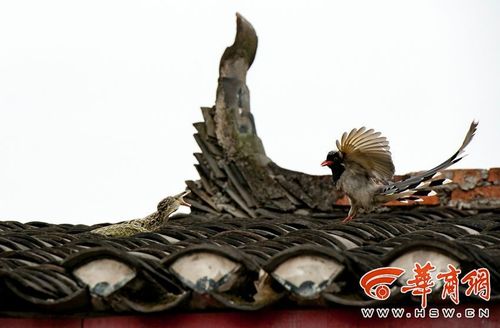 eca86bd9dc47188ba05f19 eca86bd9dc47188ba05f19