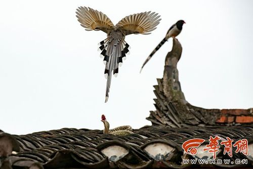 eca86bd9dc47188ba05f1a eca86bd9dc47188ba05f1a