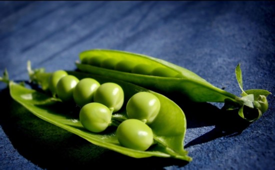 10475475099969937008 10475475099969937008