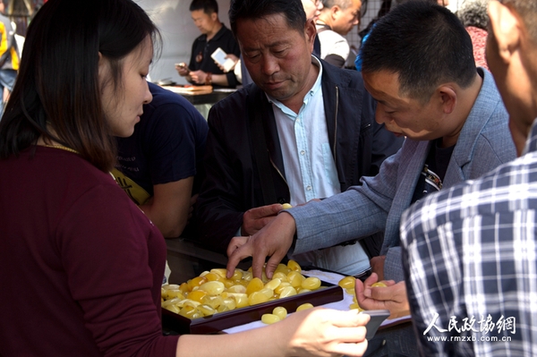 展会现场1 展会现场1