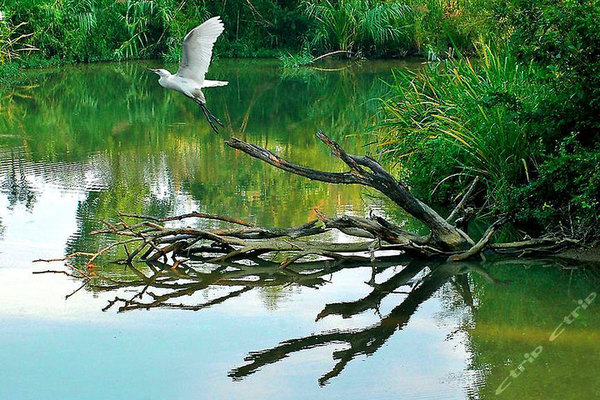 b12414ac1d474d6d926692fd5a1447b3_720_480_s b12414ac1d474d6d926692fd5a1447b3_720_480_s