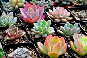 128943213_1461886641314_title0h 128943213_1461886641314_title0h