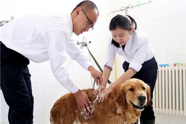 Cgqg11cimhqAP6NiAAERN_TX8oU294 Cgqg11cimhqAP6NiAAERN_TX8oU294