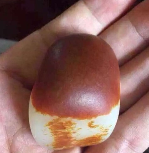 QQ图片20160429094142 QQ图片20160429094142