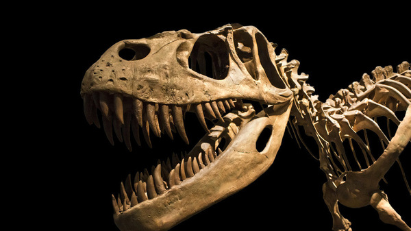 2016042809563993Am 2016042809563993Am