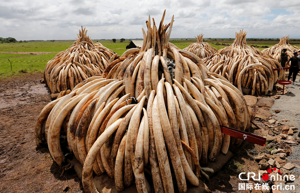 QQ截图20160429134359