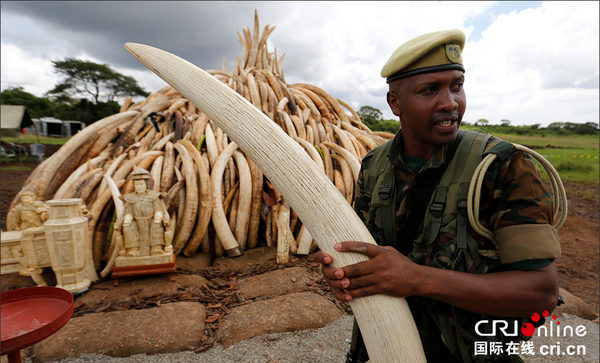 QQ截图20160429134517