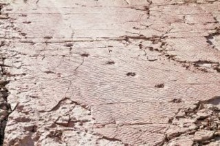 5330130792665639461 5330130792665639461