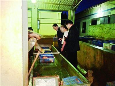 武汉有人集中回收死虾 被运进食品加工厂做虾仁