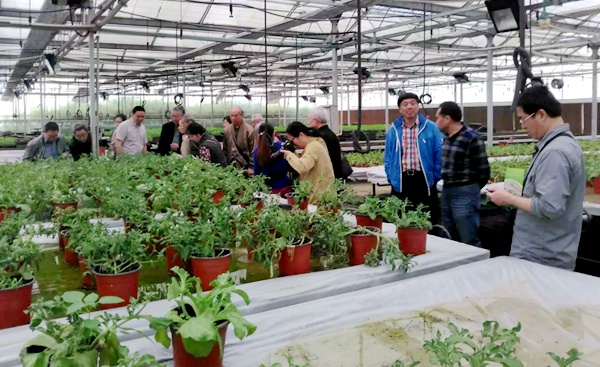 20160503124500835523 20160503124500835523