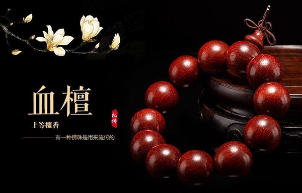 QQ图片20160503140921 QQ图片20160503140921