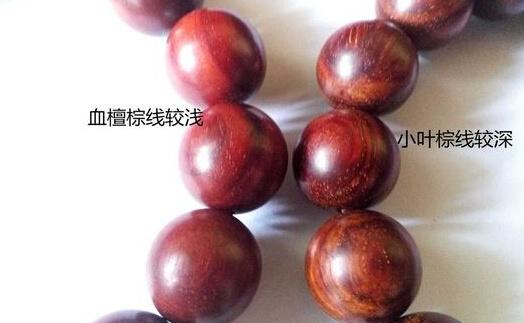 mp42354146_1447837379714_2 mp42354146_1447837379714_2