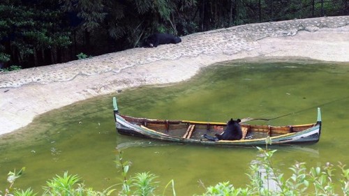湖水快速灌满舟舱