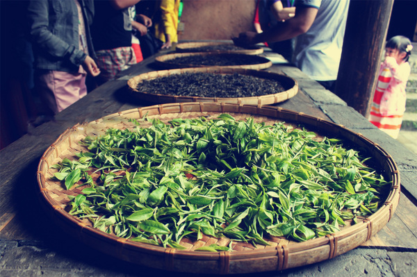 20150114103926589 20150114103926589