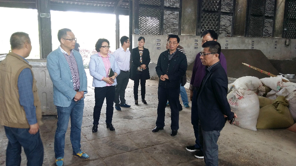 2016050360354221 2016050360354221