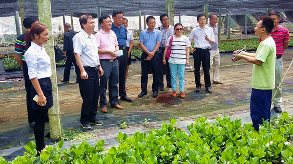 W020160503536941556954 W020160503536941556954