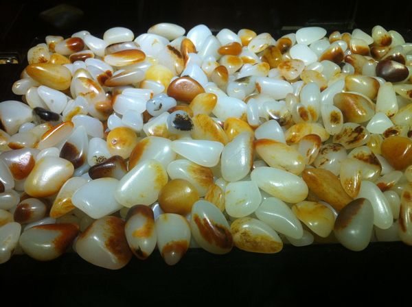 009556e736d12f2ed8f93ea14fc2d562873568e8 009556e736d12f2ed8f93ea14fc2d562873568e8