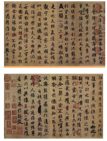 10-36-34-49-3 10-36-34-49-3