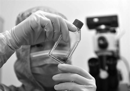 卫计委:免疫细胞治疗技术属临床研究3 卫计委:免疫细胞治疗技术属临床研究3