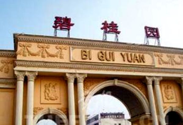 碧桂园伪造公章3 碧桂园伪造公章3