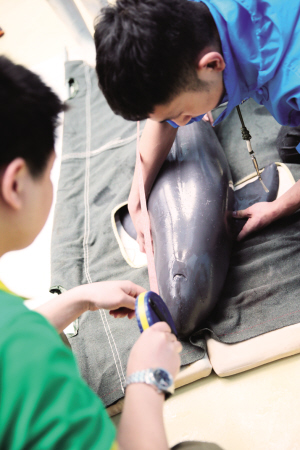 2016561462500924513_0 2016561462500924513_0