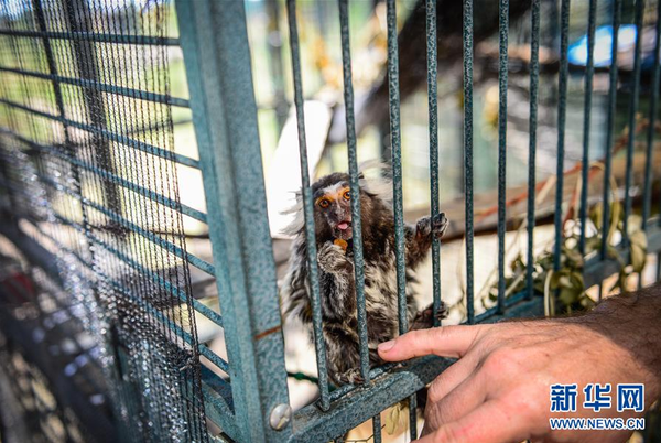 QQ截图20160506141320 QQ截图20160506141320