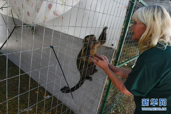 QQ截图20160506141340