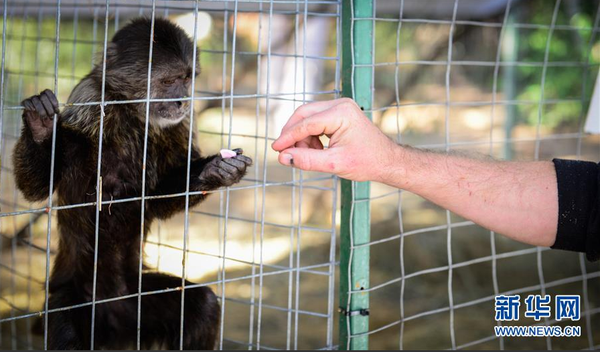 QQ截图20160506141400