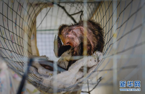 QQ截图20160506141418